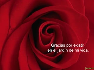 Gracias por existir  en el jardín de mi vida. Gustavo 