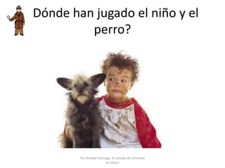 ¿Dónde han jugado el niño y el
perro?
Por Anabel Cornago. El sonido de la hierba
al crecer
 