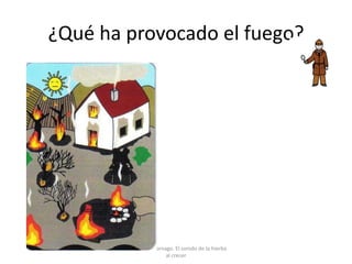 ¿Qué ha provocado el fuego?
Por Anabel Cornago. El sonido de la hierba
al crecer
 