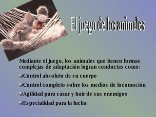 El juego de los animales Mediante el juego, los animales que tienen formas complejas de adaptación logran conductas como: Control absoluto de su cuerpo Control completo sobre los medios de locomoción Agilidad para cazar y huir de sus enemigos Especialidad para la lucha 
