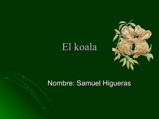 El koala Nombre: Samuel Higueras  