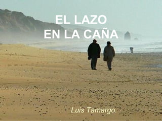 EL LAZO EN LA CAÑA Luis Tamargo. 