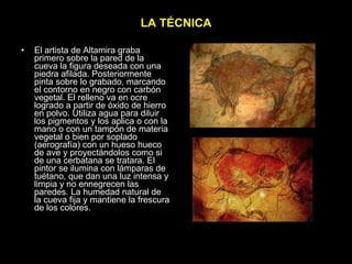 LA TÉCNICA El artista de Altamira graba primero sobre la pared de la cueva la figura deseada con una piedra afilada. Posteriormente pinta sobre lo grabado, marcando el contorno en negro con carbón vegetal. El relleno va en ocre logrado a partir de óxido de hierro en polvo. Utiliza agua para diluir los pigmentos y los aplica o con la mano o con un tampón de materia vegetal o bien por soplado (aerografía) con un hueso hueco de ave y proyectándolos como si de una cerbatana se tratara. El pintor se ilumina con lámparas de tuétano, que dan una luz intensa y limpia y no ennegrecen las paredes. La humedad natural de la cueva fija y mantiene la frescura de los colores. 