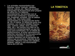 LA TEMÁTICA Los animales representados son bisontes, renos, mamuts, caballos, ciervos, cabras, etc. Algunos ya están extinguidos de Europa pues eran propios de clima frío. En Altamira concretamente, los bisontes son el animal más numeroso y aparecen de pie, mugiendo, echados, con la cabeza vuelta, etc. Casi todos están concentrados en el espectacular techo de 18 x 9 metros. El artista los pinta muy realistas, con muchos detalles (hocico, ojos, cuernos, pelaje, sexo, pezuñas, rabo, etc.), los conoce muy bien en su anatomía y comportamiento ya que los caza para comérselos. En un alarde de perfeccionismo, el pintor aprovecha los salientes naturales de la roca para pintar encima los bisontes y obtener un realismo absoluto con la sensación de relieve que se produce. Además de los bisontes, Altamira cuenta con caballos, jabalíes, cabras y una monumental cierva de 2,25 mts. 