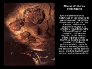 Atentos al volumen  de las figuras Existen también signos misteriosos en las paredes de las cuevas cuyo significado desconocemos, podrían ser trampas, laberintos o alusiones sexuales a la fertilidad y fecundidad. Otro motivo pictórico son las manos en positivo o en negativo (poner la mano sobre la pared y pintar encima, al quitarla queda el negativo). El techo de polícromos de la cueva de Altamira tenía originalmente una altura de 1 metro sobre el suelo, el artista trabajaría por tanto en incómodas posturas. 