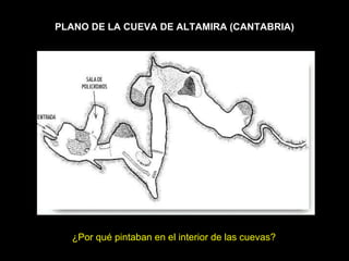 PLANO DE LA CUEVA DE ALTAMIRA (CANTABRIA) ¿Por qué pintaban en el interior de las cuevas? 
