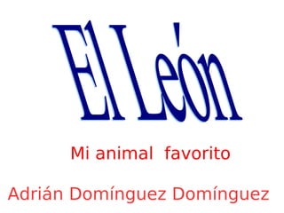 Mi animal  favorito Adrián Domínguez Domínguez  El León 
