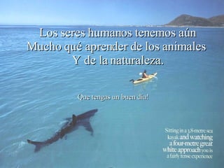 Los seres humanos tenemos aún Mucho qué aprender de los animales  Y de la naturaleza. Que tengas un buen día! 