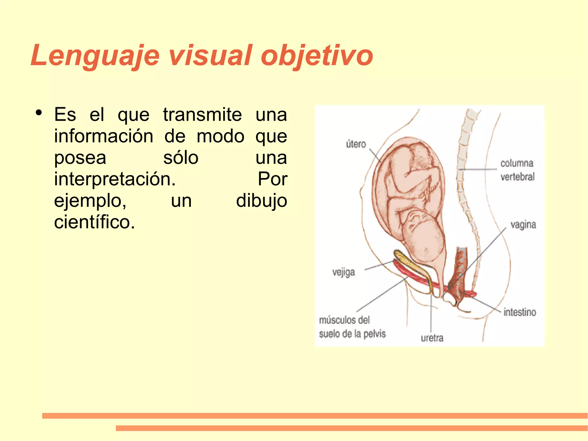 Lenguaje visual objetivo Es el que transmite una información de modo que posea sólo una interpretación. Por ejemplo, un dibujo científico. 