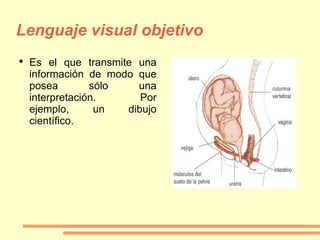 Lenguaje visual objetivo Es el que transmite una información de modo que posea sólo una interpretación. Por ejemplo, un dibujo científico. 