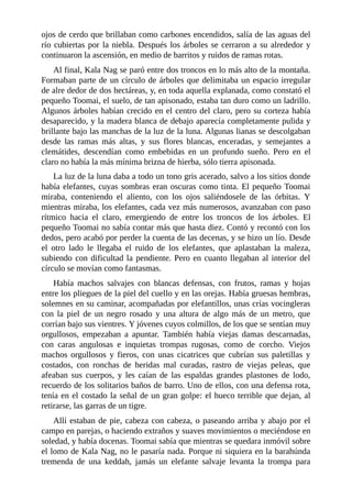 ojos de cerdo que brillaban como carbones encendidos, salía de las aguas del
río cubiertas por la niebla. Después los árboles se cerraron a su alrededor y
continuaron la ascensión, en medio de barritos y ruidos de ramas rotas.
Al final, Kala Nag se paró entre dos troncos en lo más alto de la montaña.
Formaban parte de un círculo de árboles que delimitaba un espacio irregular
de alre dedor de dos hectáreas, y, en toda aquella explanada, como constató el
pequeño Toomai, el suelo, de tan apisonado, estaba tan duro como un ladrillo.
Algunos árboles habían crecido en el centro del claro, pero su corteza había
desaparecido, y la madera blanca de debajo aparecía completamente pulida y
brillante bajo las manchas de la luz de la luna. Algunas lianas se descolgaban
desde las ramas más altas, y sus flores blancas, enceradas, y semejantes a
clemátides, descendían como embebidas en un profundo sueño. Pero en el
claro no había la más mínima brizna de hierba, sólo tierra apisonada.
La luz de la luna daba a todo un tono gris acerado, salvo a los sitios donde
había elefantes, cuyas sombras eran oscuras como tinta. El pequeño Toomai
miraba, conteniendo el aliento, con los ojos saliéndosele de las órbitas. Y
mientras miraba, los elefantes, cada vez más numerosos, avanzaban con paso
rítmico hacia el claro, emergiendo de entre los troncos de los árboles. El
pequeño Toomai no sabía contar más que hasta diez. Contó y recontó con los
dedos, pero acabó por perder la cuenta de las decenas, y se hizo un lío. Desde
el otro lado le llegaba el ruido de los elefantes, que aplastaban la maleza,
subiendo con dificultad la pendiente. Pero en cuanto llegaban al interior del
círculo se movían como fantasmas.
Había machos salvajes con blancas defensas, con frutos, ramas y hojas
entre los pliegues de la piel del cuello y en las orejas. Había gruesas hembras,
solemnes en su caminar, acompañadas por elefantillos, unas crías vocingleras
con la piel de un negro rosado y una altura de algo más de un metro, que
corrían bajo sus vientres. Y jóvenes cuyos colmillos, de los que se sentían muy
orgullosos, empezaban a apuntar. También había viejas damas descarnadas,
con caras angulosas e inquietas trompas rugosas, como de corcho. Viejos
machos orgullosos y fieros, con unas cicatrices que cubrían sus paletillas y
costados, con ronchas de heridas mal curadas, rastro de viejas peleas, que
afeaban sus cuerpos, y les caían de las espaldas grandes plastones de lodo,
recuerdo de los solitarios baños de barro. Uno de ellos, con una defensa rota,
tenía en el costado la señal de un gran golpe: el hueco terrible que dejan, al
retirarse, las garras de un tigre.
Allí estaban de pie, cabeza con cabeza, o paseando arriba y abajo por el
campo en parejas, o haciendo extraños y suaves movimientos o meciéndose en
soledad, y había docenas. Toomai sabía que mientras se quedara inmóvil sobre
el lomo de Kala Nag, no le pasaría nada. Porque ni siquiera en la barahúnda
tremenda de una keddah, jamás un elefante salvaje levanta la trompa para
 