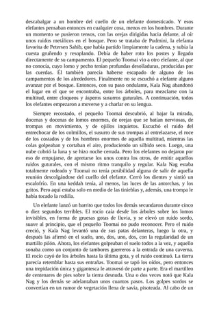 descabalgar a un hombre del cuello de un elefante domesticado. Y esos
elefantes pensaban entonces en cualquier cosa, menos en los hombres. Durante
un momento se pusieron tensos, con las orejas dirigidas hacia delante, al oír
unos ruidos metálicos en el bosque. Pero se trataba de Pudmini, la elefanta
favorita de Petersen Sahib, que había partido limpiamente la cadena, y subía la
cuesta gruñendo y resoplando. Debía de haber roto los postes y llegado
directamente de su campamento. El pequeño Toomai vio a otro elefante, al que
no conocía, cuyo lomo y pecho tenían profundas desolladuras, producidas por
las cuerdas. Él también parecía haberse escapado de alguno de los
campamentos de los alrededores. Finalmente no se escuchó a elefante alguno
avanzar por el bosque. Entonces, con su paso ondulante, Kala Nag abandonó
el lugar en el que se encontraba, entre los árboles, para mezclarse con la
multitud, entre cloqueos y ásperos susurros guturales. A continuación, todos
los elefantes empezaron a moverse y a charlar en su lengua.
Siempre recostado, el pequeño Toomai descubrió, al bajar la mirada,
docenas y docenas de lomos enormes, de orejas que se batían nerviosas, de
trompas en movimiento, y de ojillos inquietos. Escuchó el ruido del
entrechocar de los colmillos, el susurro de sus trompas al entrelazarse, el roce
de los costados y de los hombros enormes de aquella multitud, mientras las
colas golpeaban y cortaban el aire, produciendo un silbido seco. Luego, una
nube cubrió la luna y se hizo noche cerrada. Pero los elefantes no dejaron por
eso de empujarse, de apretarse los unos contra los otros, de emitir aquellos
ruidos guturales, con el mismo ritmo tranquilo y regular. Kala Nag estaba
totalmente rodeado y Toomai no tenía posibilidad alguna de salir de aquella
reunión descolgándose del cuello del elefante. Cerró los dientes y sintió un
escalofrío. En una keddah tenía, al menos, las luces de las antorchas, y los
gritos. Pero aquí estaba solo en medio de las tinieblas y, además, una trompa le
había tocado la rodilla.
Un elefante lanzó un barrito que todos los demás secundaron durante cinco
o diez segundos terribles. El rocío caía desde los árboles sobre los lomos
invisibles, en forma de gruesas gotas de lluvia, y se elevó un ruido sordo,
suave al principio, que el pequeño Toomai no pudo reconocer. Pero el ruido
creció, y Kala Nag levantó una de sus patas delanteras, luego la otra, y
después las afirmó en el suelo, uno, dos, uno, dos, con la regularidad de un
martillo pilón. Ahora, los elefantes golpeaban el suelo todos a la vez, y aquello
sonaba como un conjunto de tambores guerreros a la entrada de una caverna.
El rocío cayó de los árboles hasta la última gota, y el ruido continuó. La tierra
parecía retemblar hasta sus entrañas. Toomai se tapó los oídos, pero entonces
una trepidación única y gigantesca le atravesó de parte a parte. Era el martilleo
de centenares de pies sobre la tierra desnuda. Una o dos veces notó que Kala
Nag y los demás se adelantaban unos cuantos pasos. Los golpes sordos se
convertían en un rumor de vegetación llena de savia, pisoteada. Al cabo de un
 