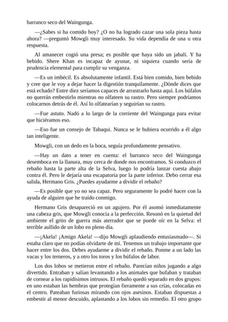 barranco seco del Waingunga.
––¿Sabes si ha comido hoy? ¿O no ha logrado cazar una sola pieza hasta
ahora? ––preguntó Mowgli muy interesado. Su vida dependía de una u otra
respuesta.
Al amanecer cogió una presa; es posible que haya sido un jabalí. Y ha
bebido. Shere Khan es incapaz de ayunar, ni siquiera cuando sería de
prudencia elemental para cumplir su venganza.
––Es un imbécil. Es absolutamente infantil. Está bien comido, bien bebido
y cree que le voy a dejar hacer la digestión tranquilamente. ¿Dónde dices que
está echado? Entre diez seríamos capaces de arrastrarlo hasta aquí. Los búfalos
no querrán embestirlo mientras no olfateen su rastro. Pero siempre podríamos
colocarnos detrás de él. Así lo olfatearían y seguirían su rastro.
––Fue astuto. Nadó a lo largo de la corriente del Waingunga para evitar
que hiciéramos eso.
––Eso fue un consejo de Tabaqui. Nunca se le hubiera ocurrido a él algo
tan inteligente.
Mowgli, con un dedo en la boca, seguía profundamente pensativo.
––Hay un dato a tener en cuenta: el barranco seco del Waingunga
desemboca en la llanura, muy cerca de donde nos encontramos. Si conduzco el
rebaño hasta la parte alta de la Selva, luego lo podría lanzar cuesta abajo
contra él. Pero le dejaría una escapatoria por la parte inferior. Debo cerrar esa
salida, Hermano Gris. ¿Puedes ayudarme a dividir el rebaño?
––Es posible que yo no sea capaz. Pero seguramente lo podré hacer con la
ayuda de alguien que he traído conmigo.
Hermano Gris desapareció en un agujero. Por él asomó inmediatamente
una cabeza gris, que Mowgli conocía a la perfección. Resonó en la quietud del
ambiente el grito de guerra más aterrador que se puede oír en la Selva: el
terrible aullido de un lobo en pleno día.
––¡Akela! ¡Amigo Akela! ––dijo Mowgli aplaudiendo entusiasmado––. Si
estaba claro que no podías olvidarte de mí. Tenemos un trabajo importante que
hacer entre los dos. Debes ayudarme a dividir el rebaño. Ponme a un lado las
vacas y los terneros, y a otro los toros y los búfalos de labor.
Los dos lobos se metieron entre el rebaño. Parecían niños jugando a algo
divertido. Entraban y salían levantando a los animales que bufaban y trataban
de cornear a los rapidísimos intrusos. El rebaño quedó separado en dos grupos:
en uno estaban las hembras que protegían fieramente a sus crías, colocadas en
el centro. Pateaban furiosas mirando con ojos asesinos. Estaban dispuestas a
embestir al menor descuido, aplastando a los lobos sin remedio. El otro grupo
 