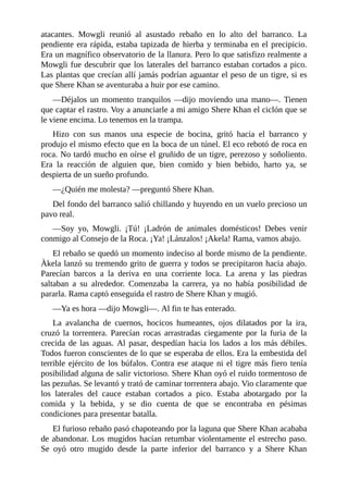 atacantes. Mowgli reunió al asustado rebaño en lo alto del barranco. La
pendiente era rápida, estaba tapizada de hierba y terminaba en el precipicio.
Era un magnífico observatorio de la llanura. Pero lo que satisfizo realmente a
Mowgli fue descubrir que los laterales del barranco estaban cortados a pico.
Las plantas que crecían allí jamás podrían aguantar el peso de un tigre, si es
que Shere Khan se aventuraba a huir por ese camino.
––Déjalos un momento tranquilos ––dijo moviendo una mano––. Tienen
que captar el rastro. Voy a anunciarle a mi amigo Shere Khan el ciclón que se
le viene encima. Lo tenemos en la trampa.
Hizo con sus manos una especie de bocina, gritó hacia el barranco y
produjo el mismo efecto que en la boca de un túnel. El eco rebotó de roca en
roca. No tardó mucho en oírse el gruñido de un tigre, perezoso y soñoliento.
Era la reacción de alguien que, bien comido y bien bebido, harto ya, se
despierta de un sueño profundo.
––¿Quién me molesta? ––preguntó Shere Khan.
Del fondo del barranco salió chillando y huyendo en un vuelo precioso un
pavo real.
––Soy yo, Mowgli. ¡Tú! ¡Ladrón de animales domésticos! Debes venir
conmigo al Consejo de la Roca. ¡Ya! ¡Lánzalos! ¡Akela! Rama, vamos abajo.
El rebaño se quedó un momento indeciso al borde mismo de la pendiente.
Àkela lanzó su tremendo grito de guerra y todos se precipitaron hacia abajo.
Parecían barcos a la deriva en una corriente loca. La arena y las piedras
saltaban a su alrededor. Comenzaba la carrera, ya no había posibilidad de
pararla. Rama captó enseguida el rastro de Shere Khan y mugió.
––Ya es hora ––dijo Mowgli––. Al fin te has enterado.
La avalancha de cuernos, hocicos humeantes, ojos dilatados por la ira,
cruzó la torrentera. Parecían rocas arrastradas ciegamente por la furia de la
crecida de las aguas. Al pasar, despedían hacia los lados a los más débiles.
Todos fueron conscientes de lo que se esperaba de ellos. Era la embestida del
terrible ejército de los búfalos. Contra ese ataque ni el tigre más fiero tenía
posibilidad alguna de salir victorioso. Shere Khan oyó el ruido tormentoso de
las pezuñas. Se levantó y trató de caminar torrentera abajo. Vio claramente que
los laterales del cauce estaban cortados a pico. Estaba abotargado por la
comida y la bebida, y se dio cuenta de que se encontraba en pésimas
condiciones para presentar batalla.
El furioso rebaño pasó chapoteando por la laguna que Shere Khan acababa
de abandonar. Los mugidos hacían retumbar violentamente el estrecho paso.
Se oyó otro mugido desde la parte inferior del barranco y a Shere Khan
 