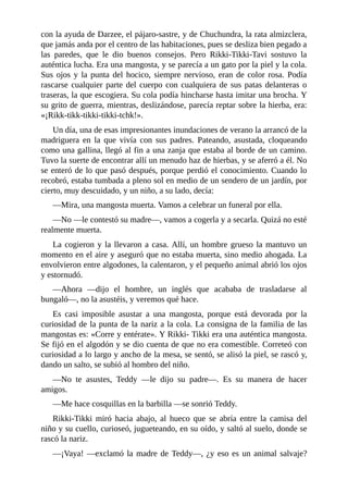con la ayuda de Darzee, el pájaro-sastre, y de Chuchundra, la rata almizclera,
que jamás anda por el centro de las habitaciones, pues se desliza bien pegado a
las paredes, que le dio buenos consejos. Pero Rikki-Tikki-Tavi sostuvo la
auténtica lucha. Era una mangosta, y se parecía a un gato por la piel y la cola.
Sus ojos y la punta del hocico, siempre nervioso, eran de color rosa. Podía
rascarse cualquier parte del cuerpo con cualquiera de sus patas delanteras o
traseras, la que escogiera. Su cola podía hincharse hasta imitar una brocha. Y
su grito de guerra, mientras, deslizándose, parecía reptar sobre la hierba, era:
«¡Rikk-tikk-tikki-tikki-tchk!».
Un día, una de esas impresionantes inundaciones de verano la arrancó de la
madriguera en la que vivía con sus padres. Pateando, asustada, cloqueando
como una gallina, llegó al fin a una zanja que estaba al borde de un camino.
Tuvo la suerte de encontrar allí un menudo haz de hierbas, y se aferró a él. No
se enteró de lo que pasó después, porque perdió el conocimiento. Cuando lo
recobró, estaba tumbada a pleno sol en medio de un sendero de un jardín, por
cierto, muy descuidado, y un niño, a su lado, decía:
––Mira, una mangosta muerta. Vamos a celebrar un funeral por ella.
––No ––le contestó su madre––, vamos a cogerla y a secarla. Quizá no esté
realmente muerta.
La cogieron y la llevaron a casa. Allí, un hombre grueso la mantuvo un
momento en el aire y aseguró que no estaba muerta, sino medio ahogada. La
envolvieron entre algodones, la calentaron, y el pequeño animal abrió los ojos
y estornudó.
––Ahora ––dijo el hombre, un inglés que acababa de trasladarse al
bungaló––, no la asustéis, y veremos qué hace.
Es casi imposible asustar a una mangosta, porque está devorada por la
curiosidad de la punta de la nariz a la cola. La consigna de la familia de las
mangostas es: «Corre y entérate». Y Rikki- Tikki era una auténtica mangosta.
Se fijó en el algodón y se dio cuenta de que no era comestible. Correteó con
curiosidad a lo largo y ancho de la mesa, se sentó, se alisó la piel, se rascó y,
dando un salto, se subió al hombro del niño.
––No te asustes, Teddy ––le dijo su padre––. Es su manera de hacer
amigos.
––Me hace cosquillas en la barbilla ––se sonrió Teddy.
Rikki-Tikki miró hacia abajo, al hueco que se abría entre la camisa del
niño y su cuello, curioseó, jugueteando, en su oído, y saltó al suelo, donde se
rascó la nariz.
––¡Vaya! ––exclamó la madre de Teddy––, ¿y eso es un animal salvaje?
 