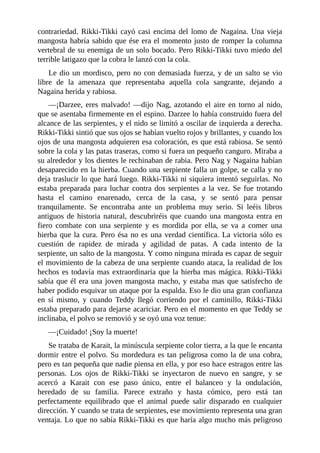 contrariedad. Rikki-Tikki cayó casi encima del lomo de Nagaina. Una vieja
mangosta habría sabido que ése era el momento justo de romper la columna
vertebral de su enemiga de un solo bocado. Pero Rikki-Tikki tuvo miedo del
terrible latigazo que la cobra le lanzó con la cola.
Le dio un mordisco, pero no con demasiada fuerza, y de un salto se vio
libre de la amenaza que representaba aquella cola sangrante, dejando a
Nagaina herida y rabiosa.
––¡Darzee, eres malvado! ––dijo Nag, azotando el aire en torno al nido,
que se asentaba firmemente en el espino. Darzee lo había construido fuera del
alcance de las serpientes, y el nido se limitó a oscilar de izquierda a derecha.
Rikki-Tikki sintió que sus ojos se habían vuelto rojos y brillantes, y cuando los
ojos de una mangosta adquieren esa coloración, es que está rabiosa. Se sentó
sobre la cola y las patas traseras, como si fuera un pequeño canguro. Miraba a
su alrededor y los dientes le rechinaban de rabia. Pero Nag y Nagaina habían
desaparecido en la hierba. Cuando una serpiente falla un golpe, se calla y no
deja traslucir lo que hará luego. Rikki-Tikki ni siquiera intentó seguirlas. No
estaba preparada para luchar contra dos serpientes a la vez. Se fue trotando
hasta el camino enarenado, cerca de la casa, y se sentó para pensar
tranquilamente. Se encontraba ante un problema muy serio. Si leéis libros
antiguos de historia natural, descubriréis que cuando una mangosta entra en
fiero combate con una serpiente y es mordida por ella, se va a comer una
hierba que la cura. Pero ésa no es una verdad científica. La victoria sólo es
cuestión de rapidez de mirada y agilidad de patas. A cada intento de la
serpiente, un salto de la mangosta. Y como ninguna mirada es capaz de seguir
el movimiento de la cabeza de una serpiente cuando ataca, la realidad de los
hechos es todavía mas extraordinaria que la hierba mas mágica. Rikki-Tikki
sabía que él era una joven mangosta macho, y estaba mas que satisfecho de
haber podido esquivar un ataque por la espalda. Eso le dio una gran confianza
en sí mismo, y cuando Teddy llegó corriendo por el caminillo, Rikki-Tikki
estaba preparado para dejarse acariciar. Pero en el momento en que Teddy se
inclinaba, el polvo se removió y se oyó una voz tenue:
––¡Cuidado! ¡Soy la muerte!
Se trataba de Karait, la minúscula serpiente color tierra, a la que le encanta
dormir entre el polvo. Su mordedura es tan peligrosa como la de una cobra,
pero es tan pequeña que nadie piensa en ella, y por eso hace estragos entre las
personas. Los ojos de Rikki-Tikki se inyectaron de nuevo en sangre, y se
acercó a Karait con ese paso único, entre el balanceo y la ondulación,
heredado de su familia. Parece extraño y hasta cómico, pero está tan
perfectamente equilibrado que el animal puede salir disparado en cualquier
dirección. Y cuando se trata de serpientes, ese movimiento representa una gran
ventaja. Lo que no sabía Rikki-Tikki es que haría algo mucho más peligroso
 
