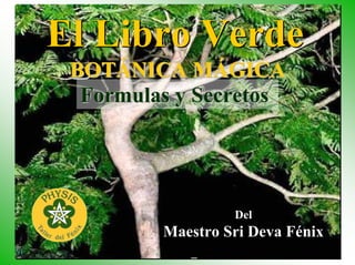 El Libro Verde
 BOTÁNICA MÁGICA
 BOTÁNICA MÁGICA
  Formulas y Secretos




                  Del
         Maestro Sri Deva Fénix
                                  1
 