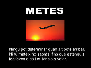 METES Ningú pot determinar quan alt pots arribar. Ni tu mateix ho sabràs, fins que estenguis les teves ales i et llancis a volar.  