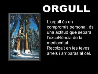 ORGULL L’orgull és un compromís personal, és una actitud que separa l’excel·lència de la mediocritat. Recolza’t en les teves arrels i arribaràs al cel. 