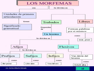 Lic. Carlos Alberto Estrada 
