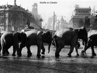 Desfile en Cibeles 