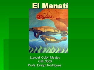 El  Manatí Liznoeli Colón Mestey CIBI 3005 Profa. Evelyn Rodríguez  