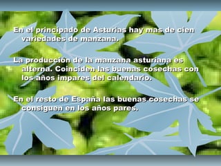 En el principado de Asturias hay mas de cien
  variedades de manzana.

La producción de la manzana asturiana es
  alterna. Coinciden las buenas cosechas con
  los años impares del calendario.

En el resto de España las buenas cosechas se
  consiguen en los años pares.
 