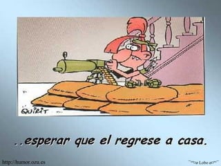 ¯°º¤ø Lobo ø¤º°¯ http://humor.ozu.es 