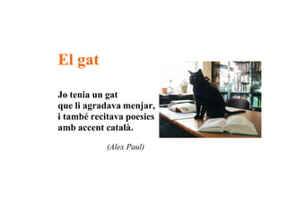 El Meu Gat2