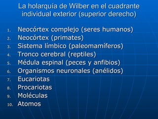 La holarquía de Wilber en el cuadrante individual exterior (superior derecho) Neocórtex complejo (seres humanos) Neocórtex (primates) Sistema límbico (paleomamíferos) Tronco cerebral (reptiles) Médula espinal (peces y anfibios) Organismos neuronales (anélidos) Eucariotas Procariotas Moléculas Atomos 