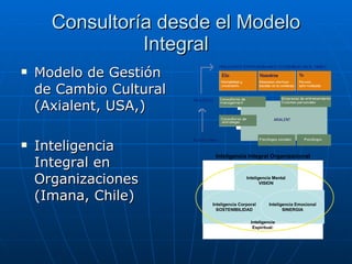 Consultoría desde el Modelo Integral Modelo de Gestión de Cambio Cultural (Axialent, USA,) Inteligencia Integral en Organizaciones (Imana, Chile) 