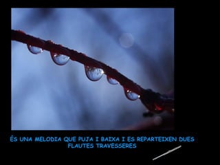 ÉS UNA MELODIA QUE PUJA I BAIXA I ES REPARTEIXEN DUES FLAUTES TRAVESSERES 