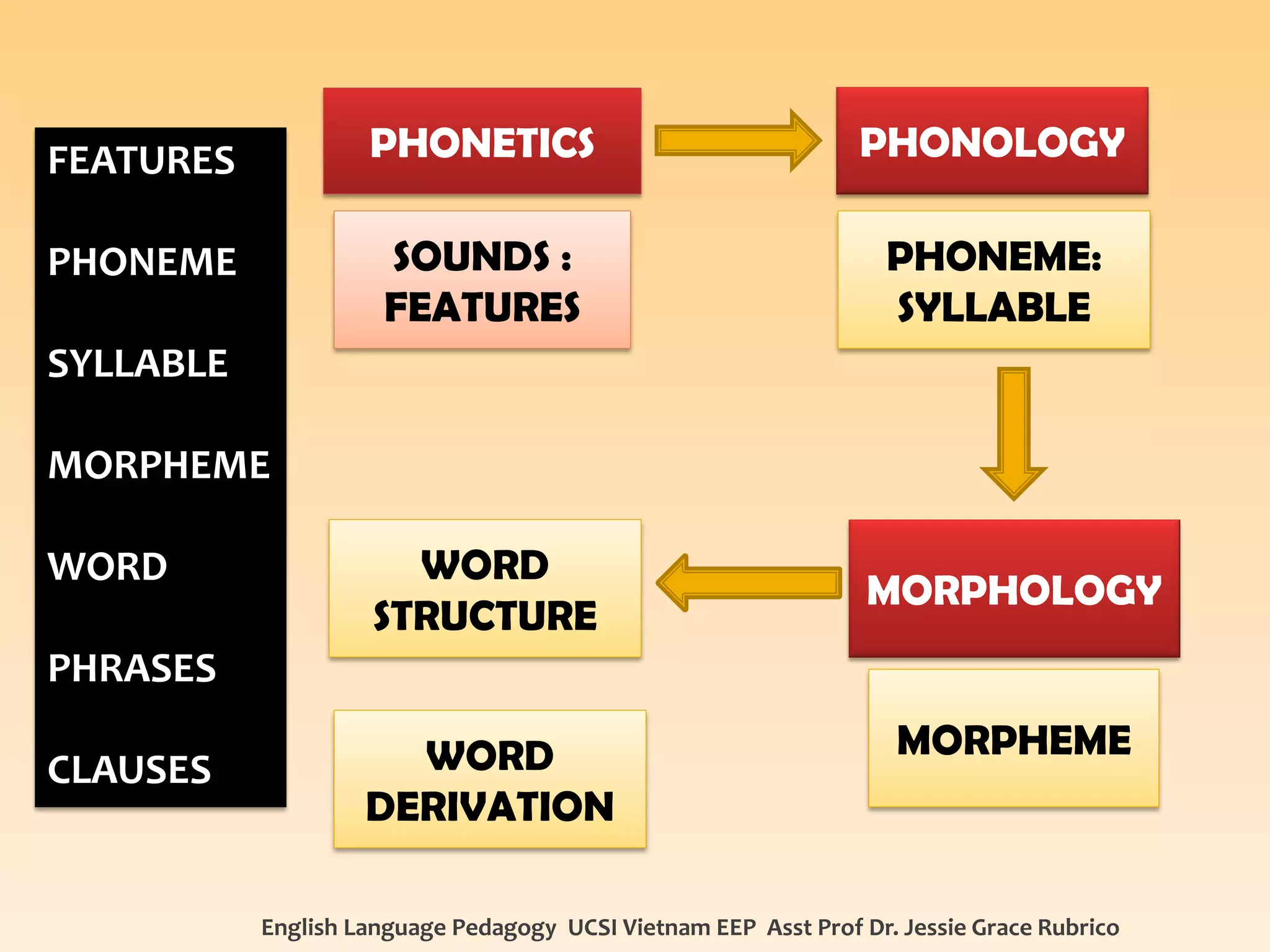 English Language Pedagogy UCSI Vietnam EEP Asst Prof Dr. Jessie Grace Rubrico 
PHONETICS 
SOUNDS : FEATURES 
PHONOLOGY 
PHONEME: SYLLABLE 
MORPHOLOGY 
MORPHEME 
WORD DERIVATION 
WORD STRUCTURE 
FEATURES 
PHONEME 
SYLLABLE 
MORPHEME 
WORD 
PHRASES 
CLAUSES  