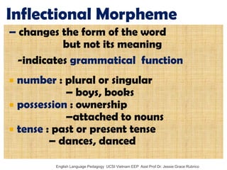 English Language Pedagogy UCSI Vietnam EEP Asst Prof Dr. Jessie Grace Rubrico 
– changes the form of the word 
but not its meaning 
-indicates grammatical function 
number : plural or singular 
– boys, books 
possession : ownership 
–attached to nouns 
tense : past or present tense 
– dances, danced 
Inflectional Morpheme  