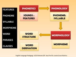 English Language Pedagogy UCSI Vietnam EEP Asst Prof Dr. Jessie Grace Rubrico 
PHONETICS 
SOUNDS : FEATURES 
PHONOLOGY 
PHONEME: SYLLABLE 
MORPHOLOGY 
MORPHEME 
WORD DERIVATION 
WORD STRUCTURE 
FEATURES 
PHONEME 
SYLLABLE 
MORPHEME 
WORD 
PHRASES 
CLAUSES  