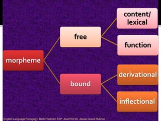 morpheme 
free 
content/ 
lexical 
function 
bound 
derivational inflectional 
English Language Pedagogy UCSI Vietnam EEP Asst Prof Dr. Jessie Grace Rubrico  