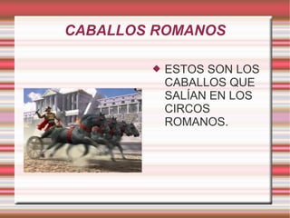 CABALLOS ROMANOS ESTOS SON LOS CABALLOS QUE SALÍAN EN LOS CIRCOS ROMANOS. 