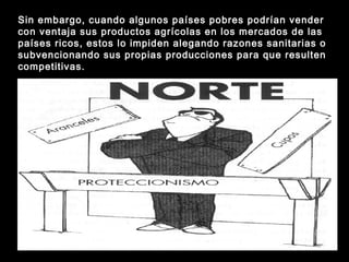 Sin embargo, cuando algunos países pobres podrían vender
con ventaja sus productos agrícolas en los mercados de las
países ricos, estos lo impiden alegando razones sanitarias o
subvencionando sus propias producciones para que resulten
competitivas.
 
