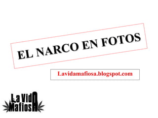 EL NARCO EN FOTOS Lavidamafiosa.blogspot.com 
