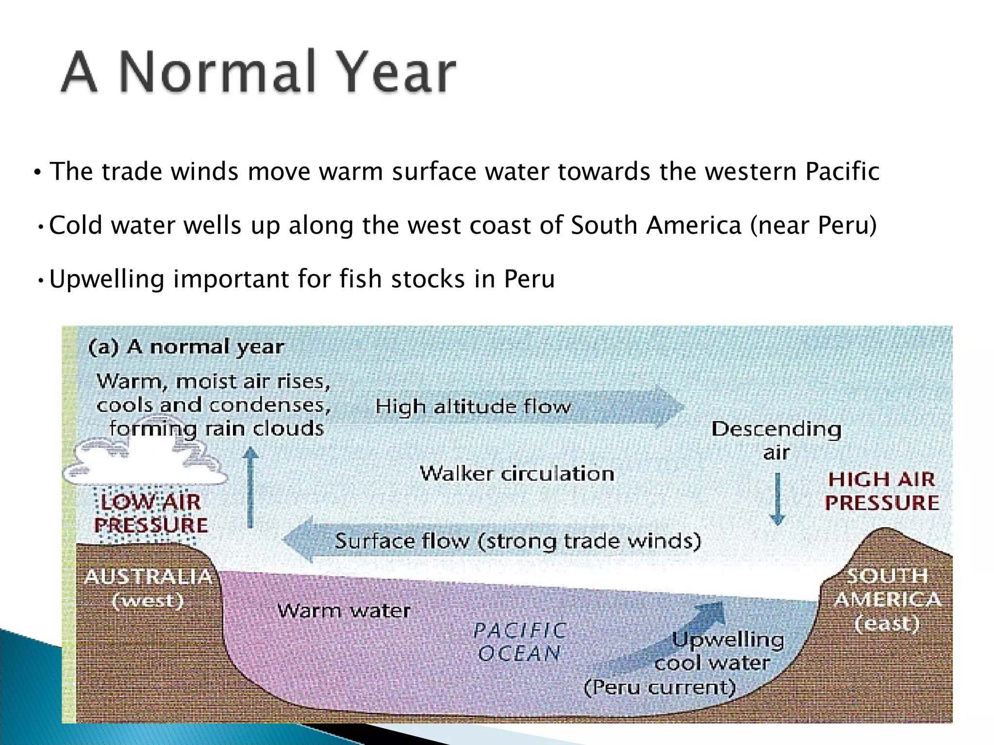 The trade winds move warm surface water towards the western Pacific Cold water wells up along the west coast of South America (near Peru) Upwelling important for fish stocks in Peru 