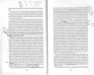 El nino-y-el-significante-ricardo-rodulfo