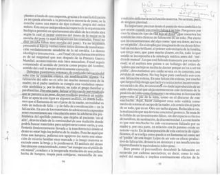 El nino-y-el-significante-ricardo-rodulfo