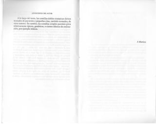 El nino-y-el-significante-ricardo-rodulfo