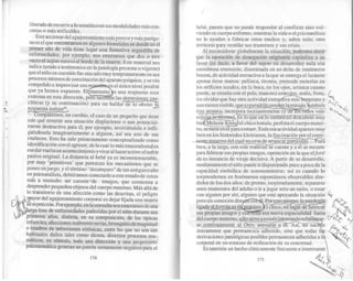 El nino-y-el-significante-ricardo-rodulfo