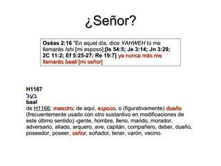 ¿Señor? H1167 בַּעַל baal de  H1166 ;  maestro ; de aquí,  esposo , o (figurativamente)  dueño  (frecuentemente usado con otro sustantivo en modificaciones de este último sentido):-gente, hombre, lleno, marido, morador, adversario, aliado, arquero, ave, capitán, compañero, deber, dueño, poseedor, poseer,  señor , soñador, tener, varón, vecino. Oséas 2:16  "En aquel día, dice  YAHWEH  tú me llamarás  Ishi  [mi esposo]; [Is 54:5; Je 3:14; Jn 3:29; 2C 11:2; Ef 5:25-27; Re 19:7]   ya nunca más me llamarás  baali  [mi señor] 