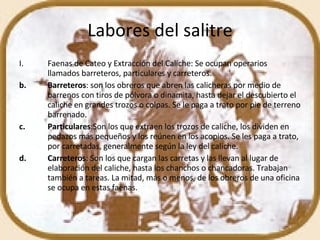 Labores del salitre Faenas de Cateo y Extracción del Caliche: Se ocupan operarios llamados barreteros, particulares y carreteros.  Barreteros : son los obreros que abren las calicheras por medio de barrenos con tiros de pólvora o dinamita, hasta dejar el descubierto el caliche en grandes trozos o colpas. Se le paga a trato por pie de terreno barrenado.  Particulares :Son los que extraen los trozos de caliche, los dividen en pedazos más pequeños y los reúnen en los acopios. Se les paga a trato, por carretadas, generalmente según la ley del caliche.  Carreteros : Son los que cargan las carretas y las llevan al lugar de elaboración del caliche, hasta los chanchos o chancadoras. Trabajan también a tareas. La mitad, más o menos, de los obreros de una oficina se ocupa en estas faenas. 