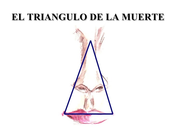 ANATOMIA
