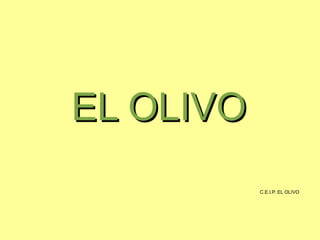 EL OLIVO   C.E.I.P. EL OLIVO 