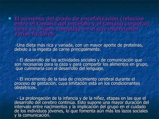 El aumento del grado de encefalización (relación entre el tamaño del encéfalo y el tamaño corporal) tiene un origen complejo en el que intervienen varios factores: -Una dieta más rica y variada, con un mayor aporte de proteínas, debido a la ingesta de carne principalmente. - El desarrollo de las actividades sociales y de comunicación que son necesarias para la caza y para compartir los alimentos en grupo,  que culminaría con el desarrollo del lenguaje. - El incremento de la tasa de crecimiento cerebral durante el proceso de gestación, cuya limitación está en los condicionantes obstétricos. - La prolongación de la infancia y de la niñez, etapas en las que el desarrollo del cerebro continúa. Esto supone una mayor duración del intervalo entre nacimientos y la implicación del grupo en el cuidado de los individuos jóvenes, lo que fomenta aún más los lazos sociales y la comunicación.  