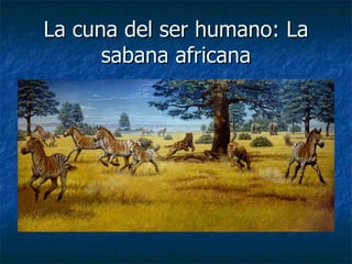La cuna del ser humano: La sabana africana 